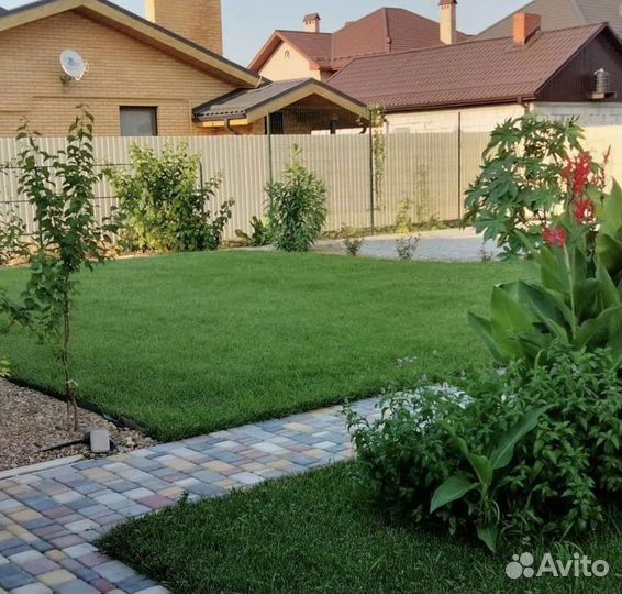 Рулонный газон под ключ