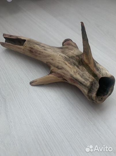 Коряга для аквариума, скребок, сифон