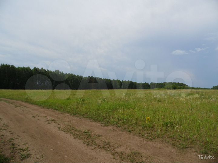 Участок 3,7 га (СНТ, ДНП)