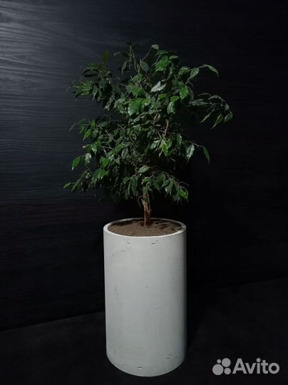 Кашпо, Вазоны, Горшки под заказ из бетона арт 140