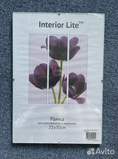 Клип рамка clip безбагетная