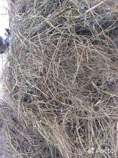 Сено в мешках - тюках