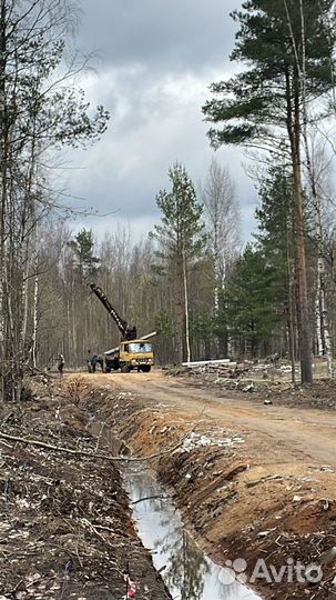 Подключение электричества 15 кВт в Псковской обл