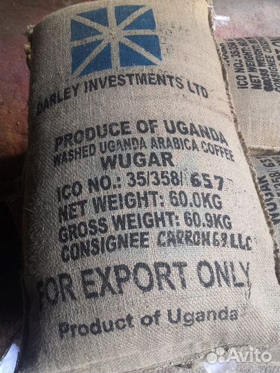 Зеленый кофе Робуста Уганда