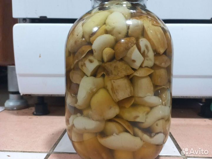 Грибы: свежие, сухие, соленые, маринованные