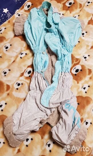 Одежда на собак