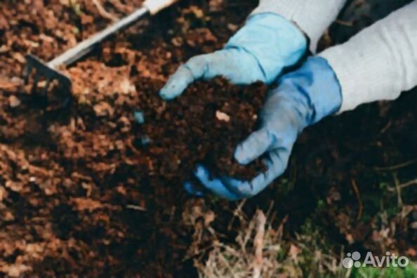 Почвогрунт