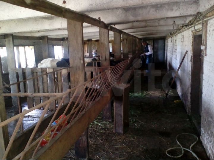 Участок 33 га (СНТ, ДНП)