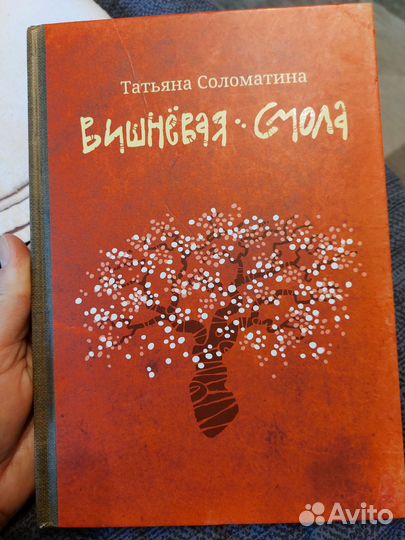 Книга Соломатина 