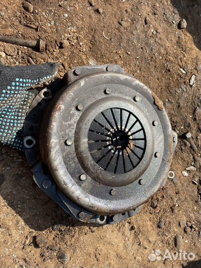 Сцепление иран саманд