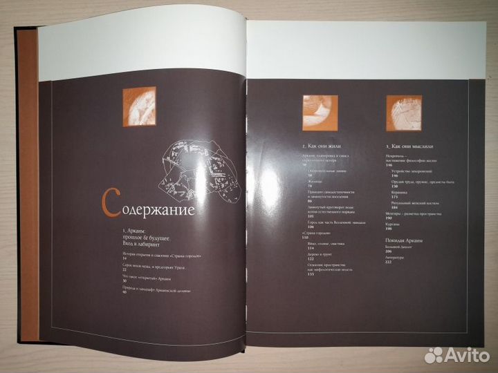 Аркаим: У истоков цивилизации