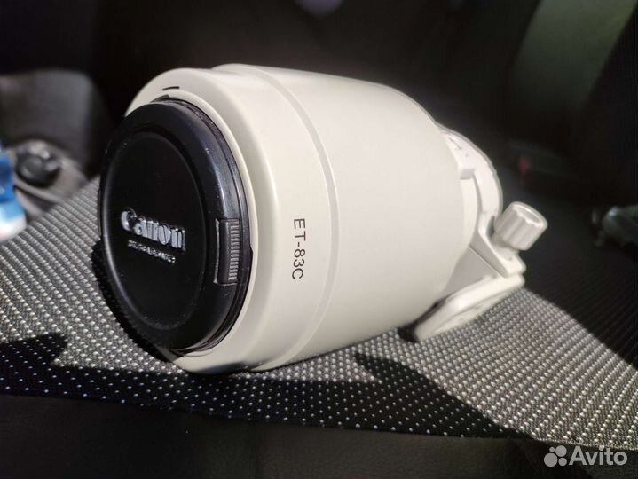 Canon EF 100-400 1:4,5-5,6 L IS