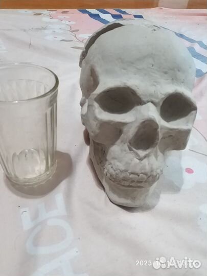 Череп-шкатулка