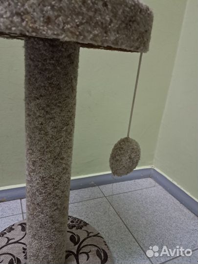 Когтеточка для кошек бу