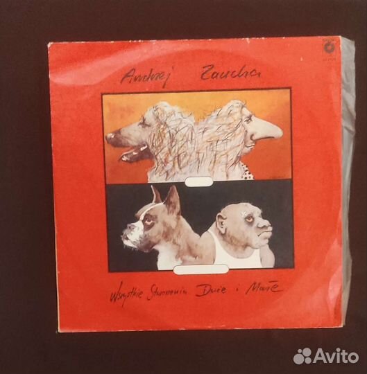 Виниловая пластинка