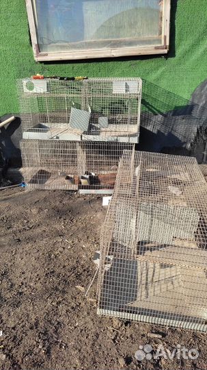 Клетки для перепелов, птиц, нутрий