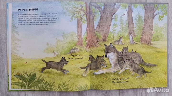 Бестселлеры детской познавательной литературы