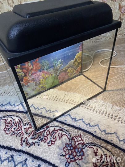 Продам аквариум 15л