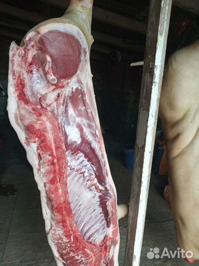 Домашнее мясо свинины (Подробности в описание)