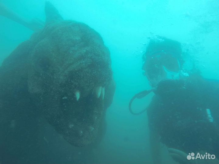 Дайвинг Адлер