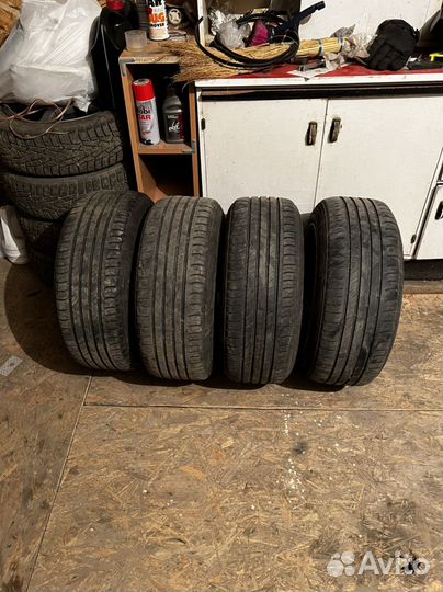 Nokian Tyres Nordman SX 205/55 R16 91H