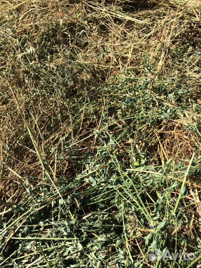 Сено разнотравье, солома в рулонах