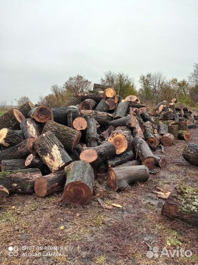 Продам дрова сухие