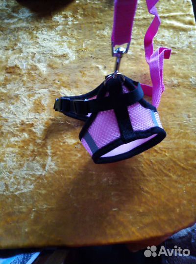 Поводок шлейка для кошек и маленьких собак