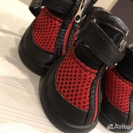 Обувь для собаки