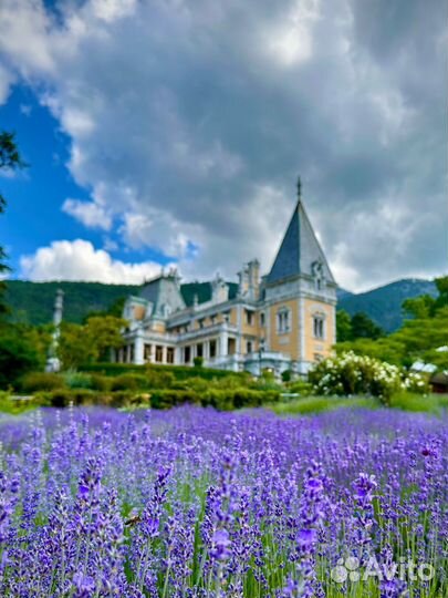 Экскурисия Горы Лаванды