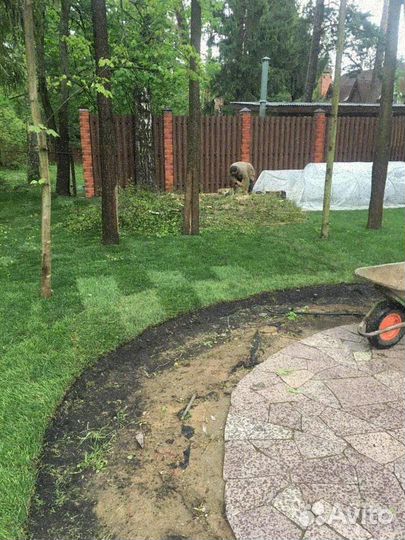 Укладка газона эконом