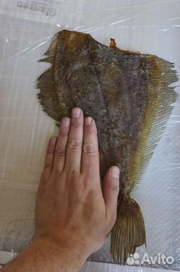 Камбала Ерш Вяленый