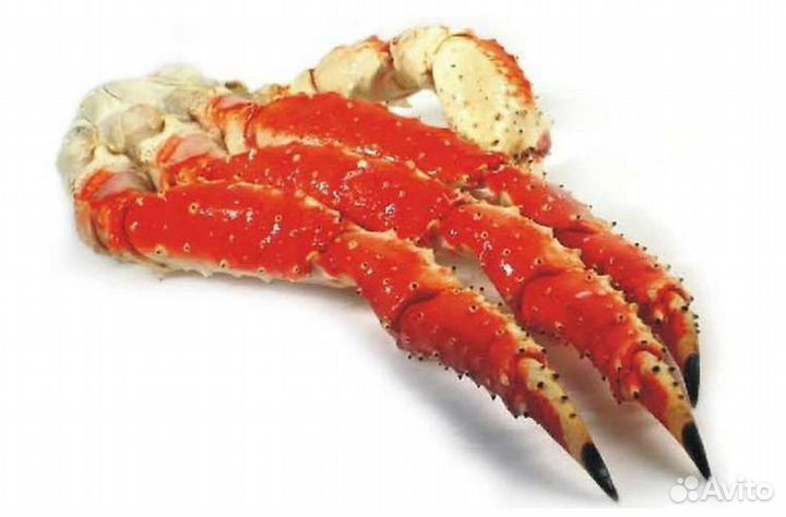 Клешни камчатского краба Л1