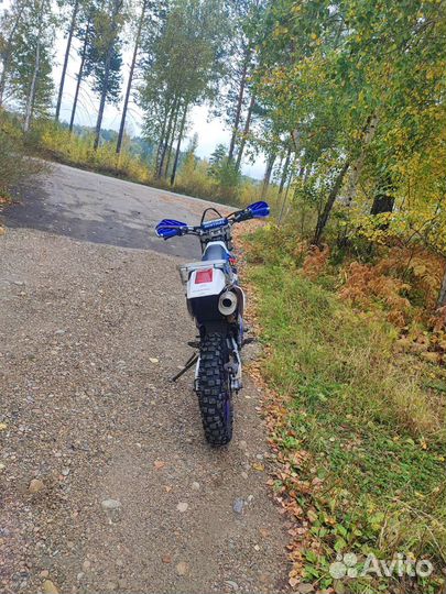 Yamaha ttr-250