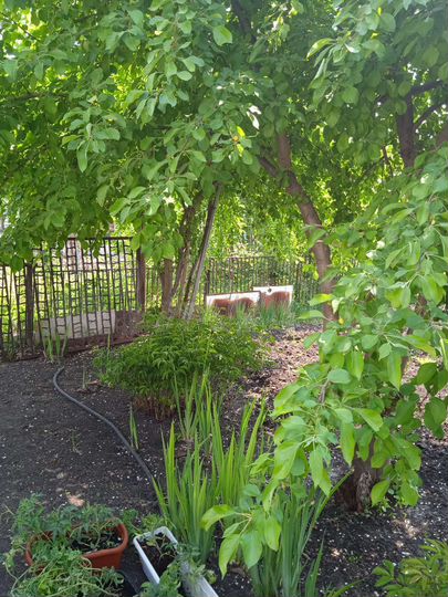 Дача 26 м² на участке 7 сот.