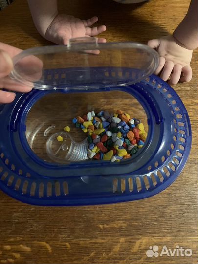 Аквариум для красноухой черепахи