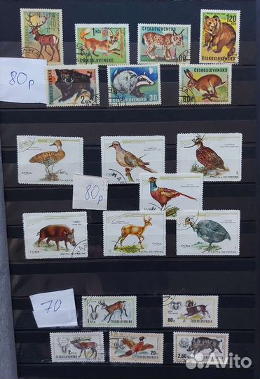 Почтовые марки. Фауна 2