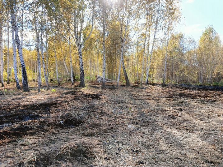 Участок 10 сот. (СНТ, ДНП)