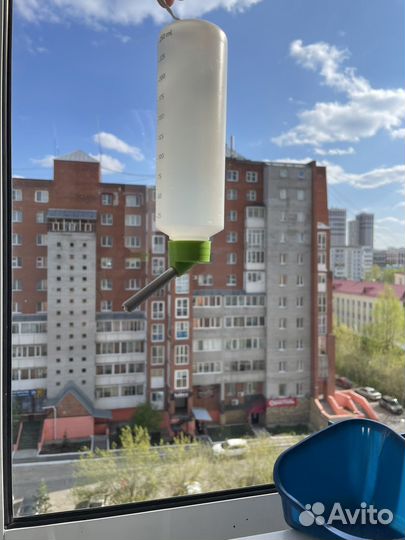 Клетка для попугая