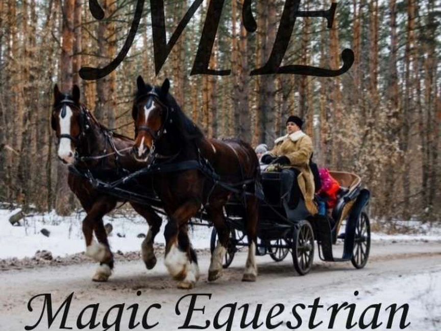 Magic Equistrian – мастерская конной амуниции