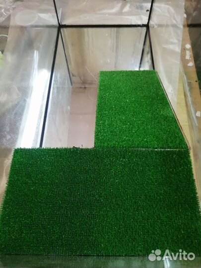 Террариум для черепахи