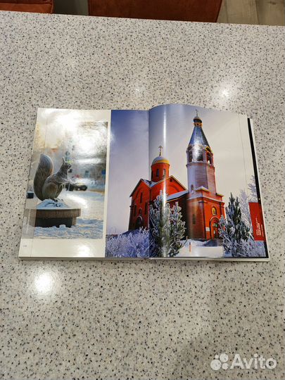 Подарочная книга тпп Лангепаснефтегаз