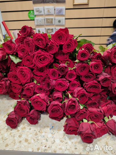 Цветы.Букет из 51 роз.Доставка Воронеж