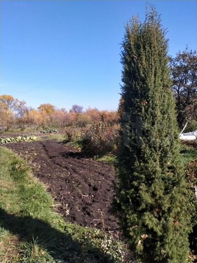 Дом 50 м² на участке 14 сот.