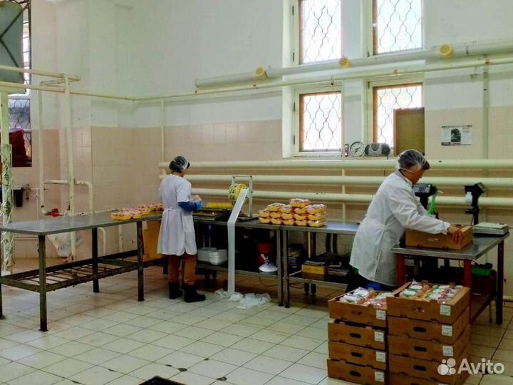 Пищевое производство. Здание 804м2 в собственности