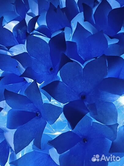 Букет цветов