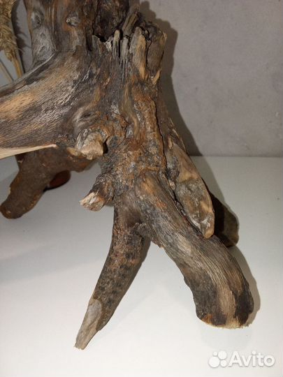 Коряга дрифтвуд для творчества