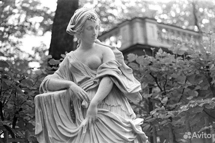 Проявка и Оцифровка черно-белых фотопленок