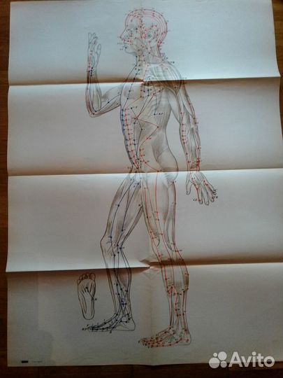 Книги по медицине - неврология, психиатрия, ирт