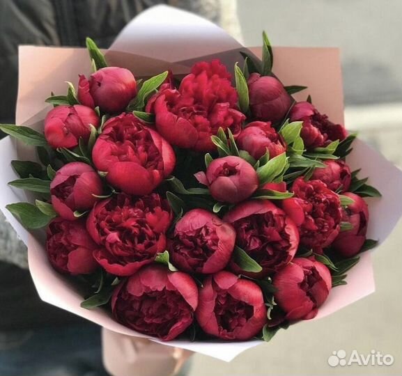 Пионы букет с доставкой 21 25 31 35 41